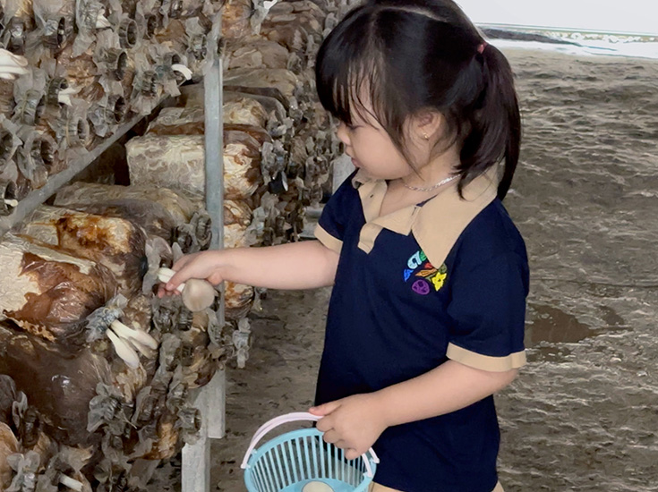 Trải Nghiệm Hái Nấm Tại Vườn – Trải Nghiệm Sạch, An Toàn Và Thú Vị