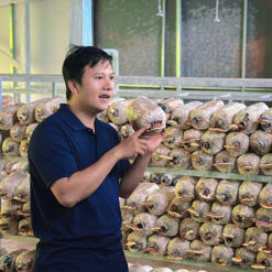 Khám Phá Vòng Đời Nấm 200.000Đ/Block 50 người