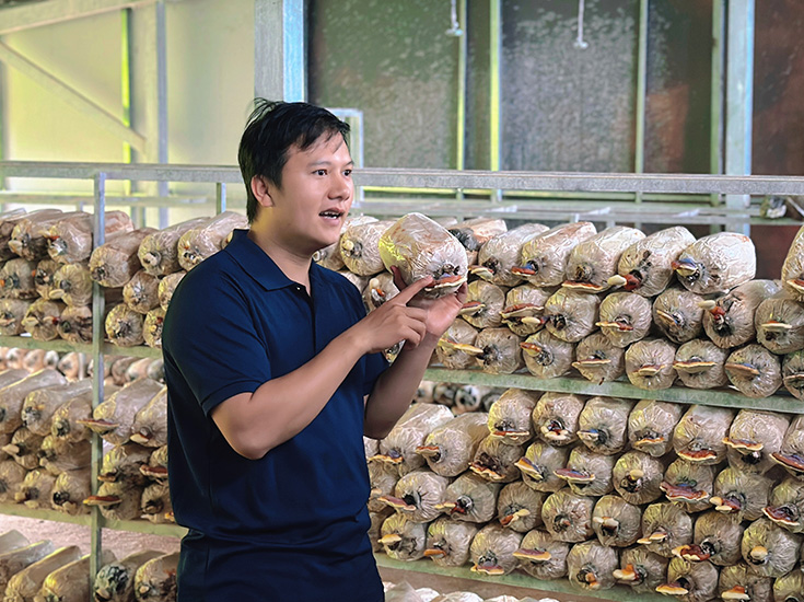 Khám Phá Vòng Đời Nấm 200.000Đ/Block 50 người