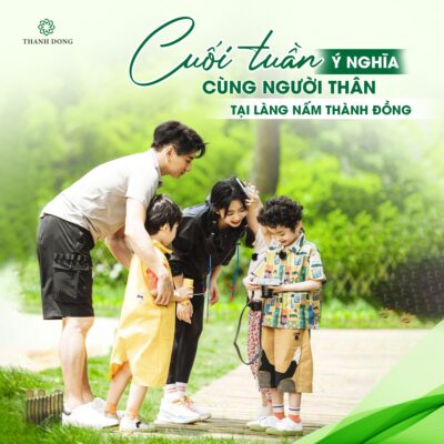 557616645 800433369401133 4958047665955833753 n